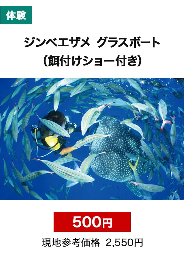 体験　限定　ジンベエザメ　グラスボート
（餌付けショー付き）　500円　現地参考価格　2,550円