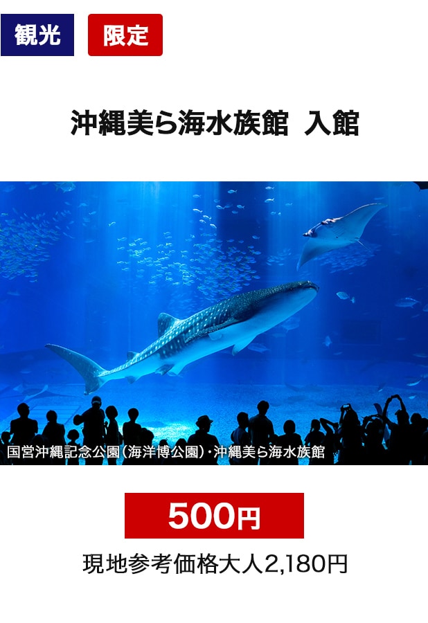 観光　限定　沖縄美ら海水族館　入館　500円　現地参考価格大人2,180円