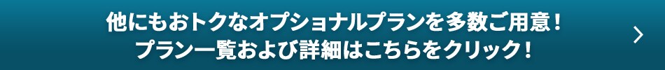 他にもおトクなオプショナルプランを多数ご用意！プラン一覧および詳細はこちらをクリック！