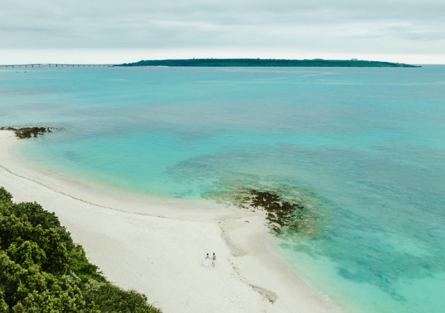 ビーチ+1ロケーション・アドバンスプラン