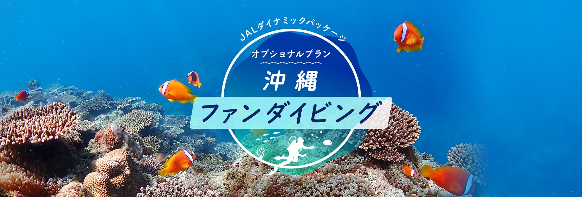 JALダイナミックパッケージ オプショナルプラン 沖縄 ファンダイビング