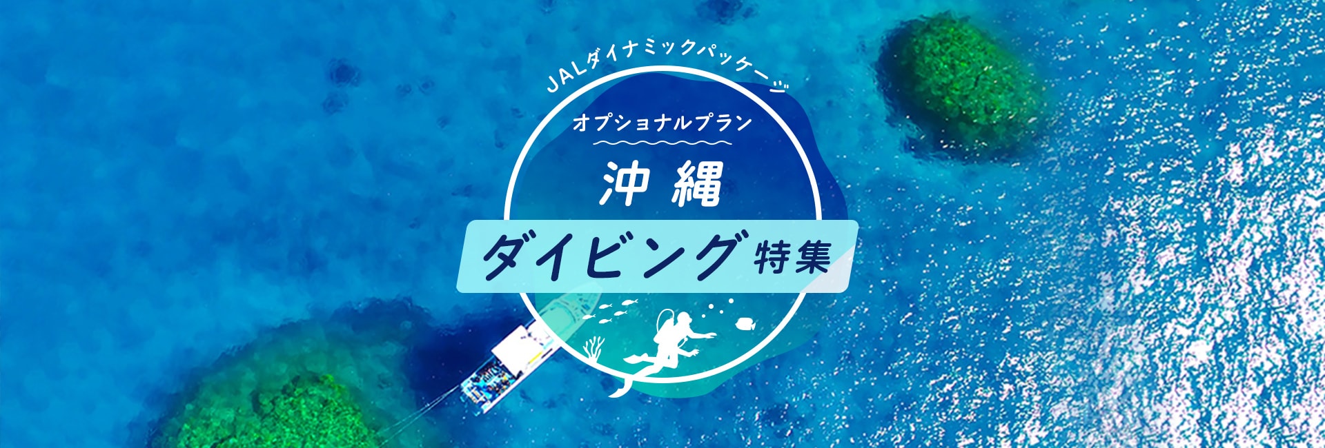 JALダイナミックパッケージ オプショナルプラン 沖縄 ダイビング特集