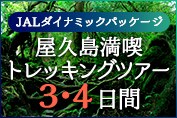 屋久島満喫トレッキングツアー