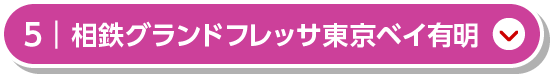 相鉄グランドフレッサ 東京ベイ有明