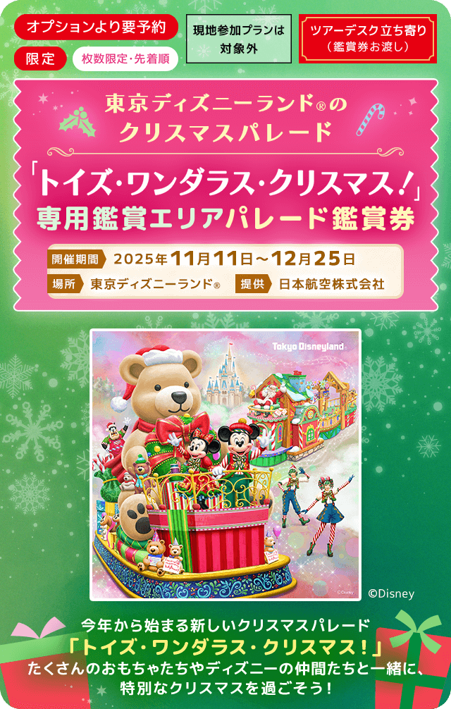 お値下げ‼️Private Evening Party 95 東京ディズニーランド お値下げ‼️Private Evening Party 95 東京ディズニーランド