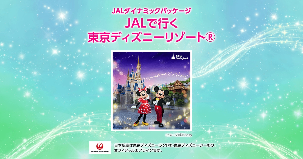お値下げ‼️Private Evening Party 95 東京ディズニーランド JAL主催 東京ディズニーランド®プライベート・イブニング