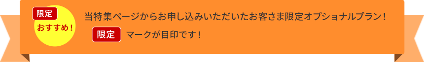 当特集ページからお申し込みいただいたお客さま限定オプション！