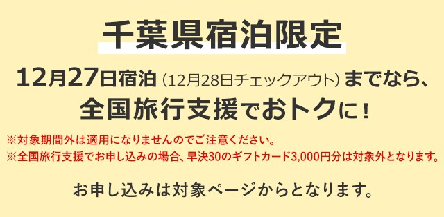 Jalダイナミックパッケージ Jalで行く東京ディズニーリゾート R の旅