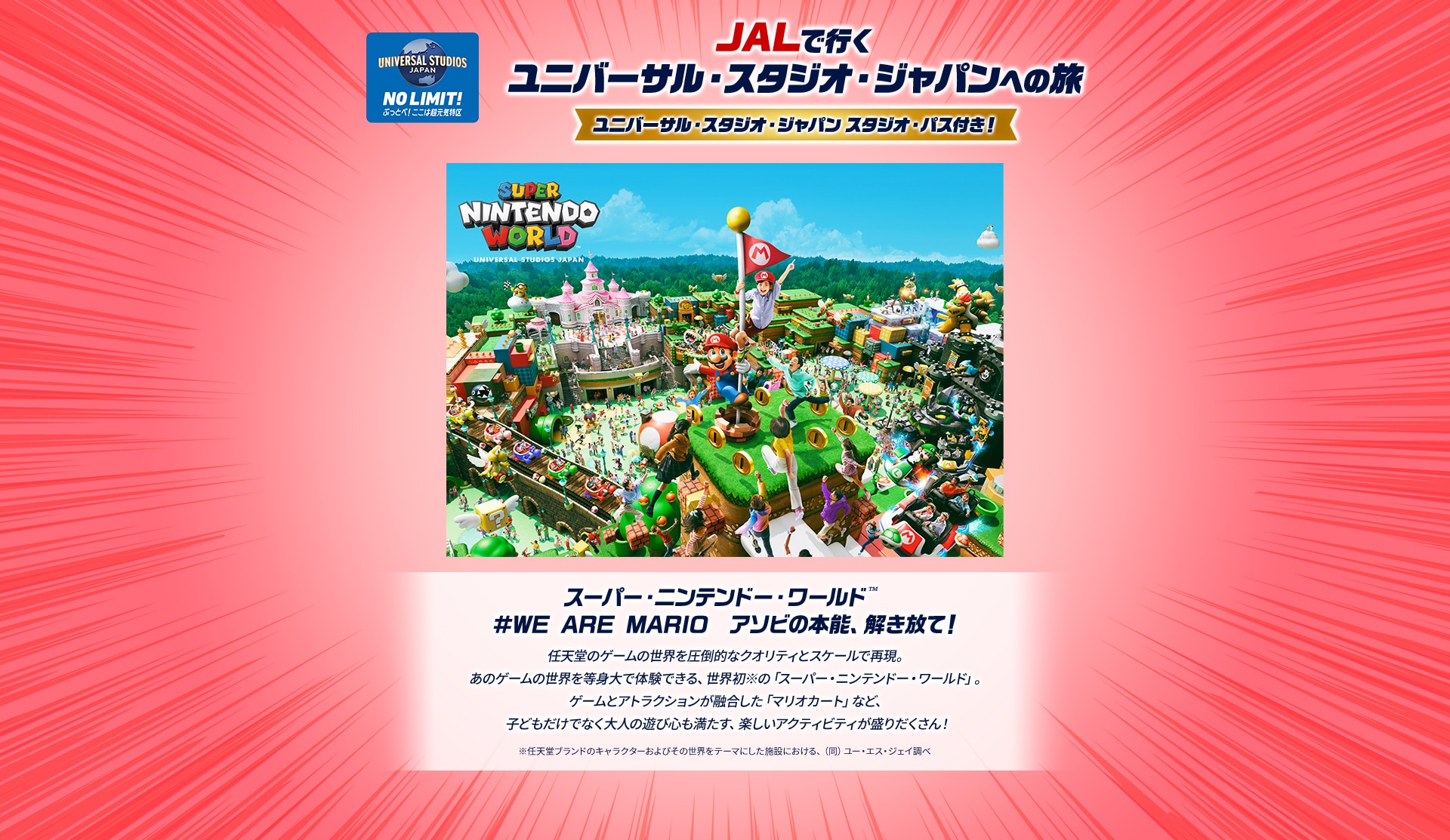 ユニバーサル・エクスプレス・パス 2枚セット 2025年 ユニバーサル