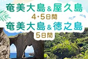 鹿児島の世界自然遺産をたずねて 奄美大島＆屋久島4･5日間/奄美大島＆徳之島5日間