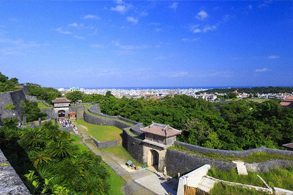 画像提供:国営沖縄記念公園事務所