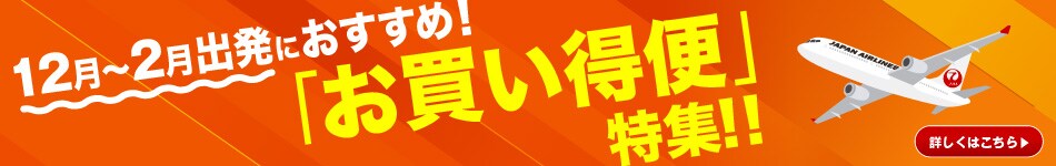 JALunLun BLACK FLYDAY 国内航空券＋宿泊 タイムセール。クーポン併用で最大53,000円割引。1グループで2月または3月出発の場合。タイムセール限定のびっくりオプションもあり。11月18日 火曜日 午前0時から販売開始。