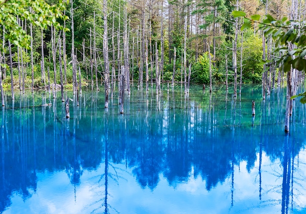 北海道_青い池