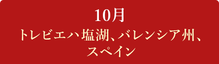10月　トレビエハ塩湖、バレンシア州、スペイン