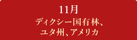 11月　ディクシー国有林、ユタ州、アメリカ