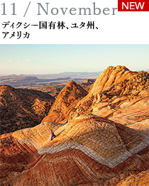 11 / November ディクシー国有林、ユタ州、アメリカ