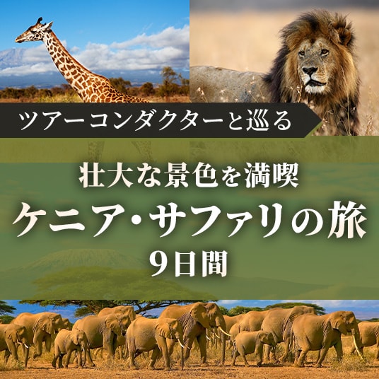 ツアーコンダクターと巡る 壮大な景色を満喫 ケニア・サファリの旅9日間