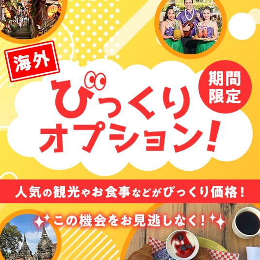 海外　期間限定びっくりオプション！人気の観光ゃお食事などがびっくり価格！この機会をお見逃しなく！