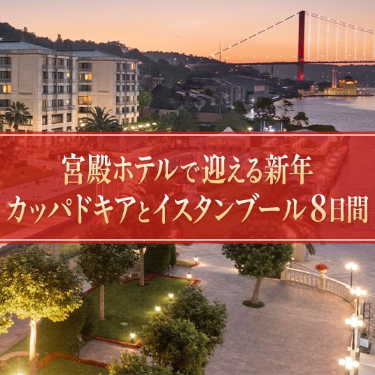 宮殿ホテルで迎える新年カッパドキアとイスタンブール8日間
