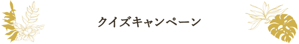 クイズキャンペーン