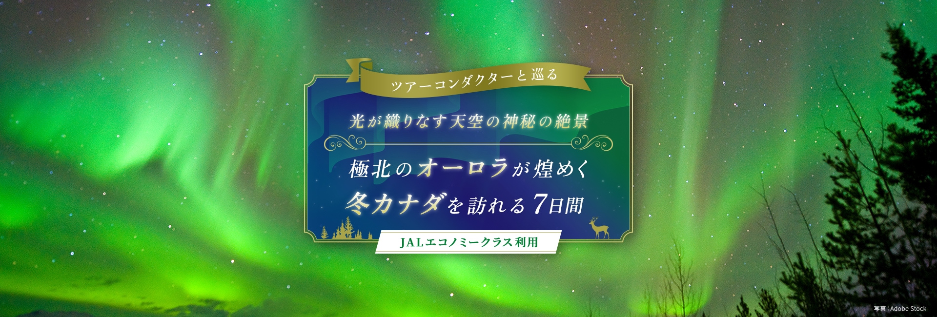 ツアーコンダクター（添乗員）と巡る 光が織りなす天空の神秘の絶景 極北のオーロラが煌めく 冬カナダを訪れる 7日間 JALエコノミークラス利用
