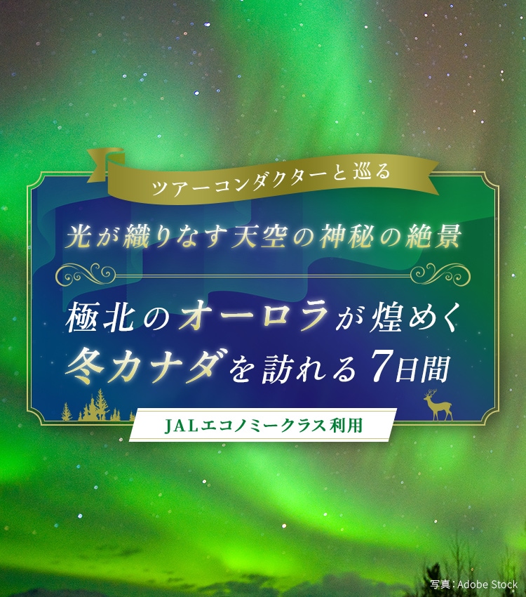 ツアーコンダクター（添乗員）と巡る 光が織りなす天空の神秘の絶景 極北のオーロラが煌めく 冬カナダを訪れる 7日間 JALエコノミークラス利用