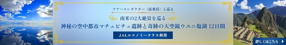 〔ツアーコンダクター(添乗員)と巡る〕南米の2大絶景を巡る 神秘の空中都市マチュピチュ遺跡と奇跡の天空鏡ウユニ塩湖 12日間