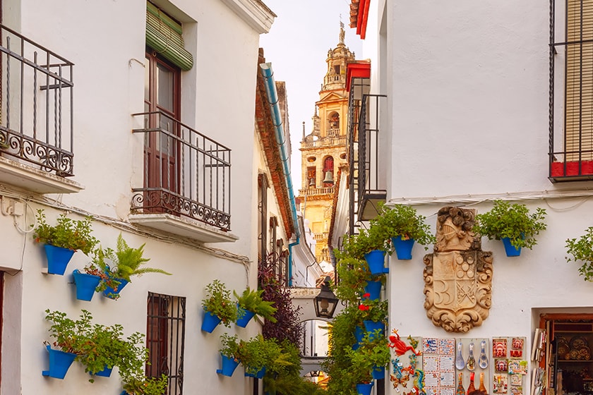 コルドバ 花の小径