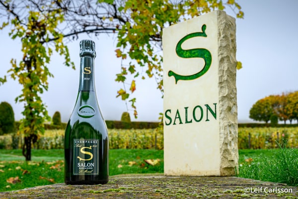 唯一無二の存在シャンパーニュ・メゾン「サロン」を特別訪問