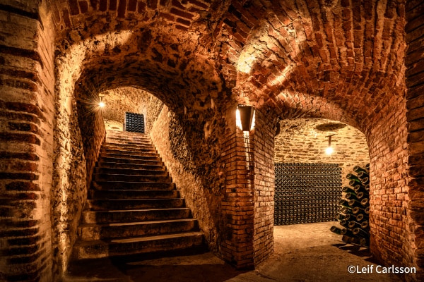 唯一無二の存在シャンパーニュ・メゾン「サロン」を特別訪問