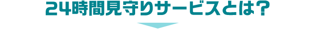 24時間見守りサービスとは？