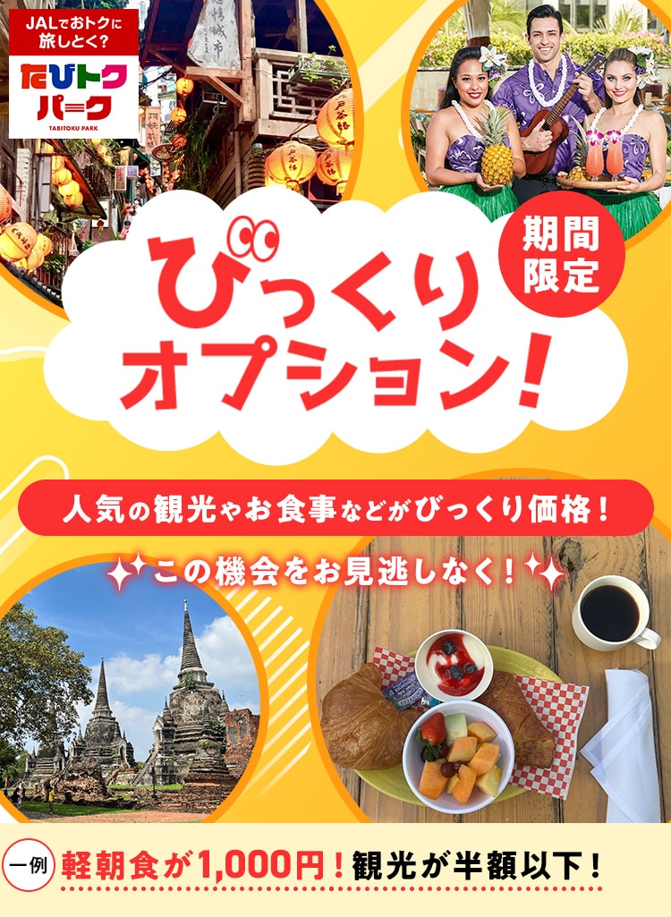 期間限定 びっくりオプション！人気の観光やお食事などがびっくり価格！軽朝食が1,000円！観光が半額以下！ この機会をお見逃しなく！