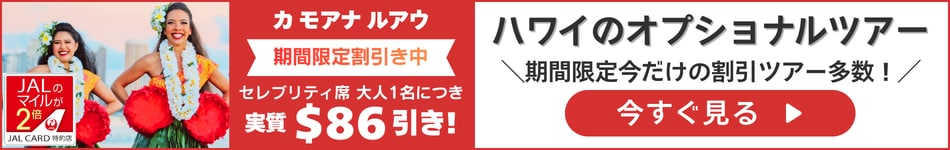 ハワイのオプショナルツアー。期間限定の割引ツアー多数。割引プランの詳細と外部リンクを確認する