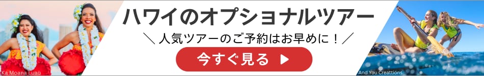 ハワイのオプショナルツアー　人気ツアーのご予約はお早めに！今すぐ見る