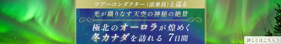 〔ツアーコンダクター(添乗員)と巡る〕〔JALビジネスクラス利用〕 光が織りなす天空の神秘の絶景 極北のオーロラが煌めく 冬カナダを訪れる 7日間