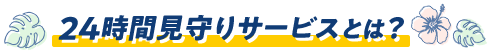 24時間見守りサービスとは？