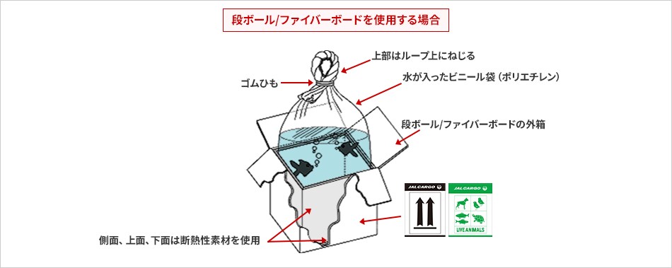  段ボール / ファイバーボードを使用する場合：上部はループ上にねじる、ゴムひも、水が入ったビニール袋（ポリエチレン）、段ボール/ファイバーボードの外箱、側面、上面、下面は断熱性素材を使用（Live animal Labelを貼り付け）