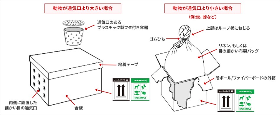 動物が通気口より大きい場合：通気口のあるプラスチック製フタ付き容器、粘着テープ、内側に設置した細かい目の通気口、合板（Live animal Labelを貼り付け）； 動物が通気口より小さい場合（例:蚊、蜂など）：上部はループ状にねじる、ゴムひも、リネン、もしくは目の細かい布製バッグ、段ボール/ファイバーボードの外箱（Live animal Labelを貼り付け）