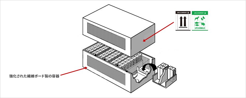エンドスクリーン（両端2重）、トレーホルダーと構造補強（切断面図）、強化された繊維ボード製の容器、クイーンケージ（４列）、給餌・給水（Live animal Labelを貼り付け）
