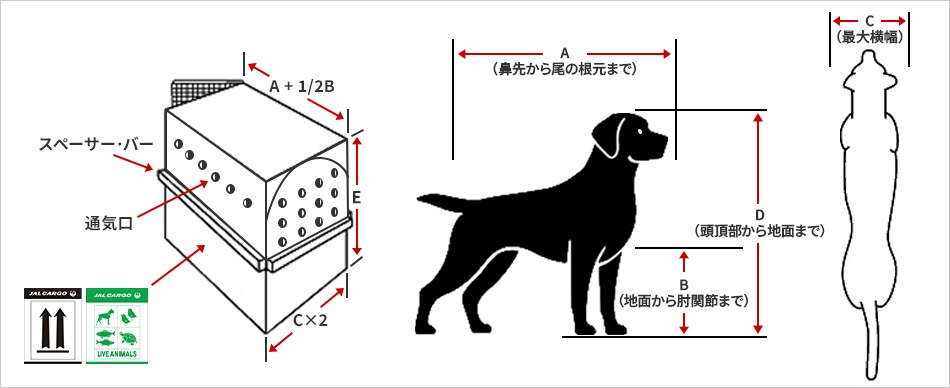 動物：A（全長）、B（脇下から地面まで）、D（頭から地面まで）、C（横幅） ペットクレート：A+1/2B（長さ）、D（高さ）、奥（C x 2） スペーサー・バー、通気口あり（Live animal Labelを貼り付け）