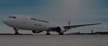 玄*上様 JALCargo B767-300ER JA653J Boeing 767-300ER JAL Cargo | Modelsnavigator.com