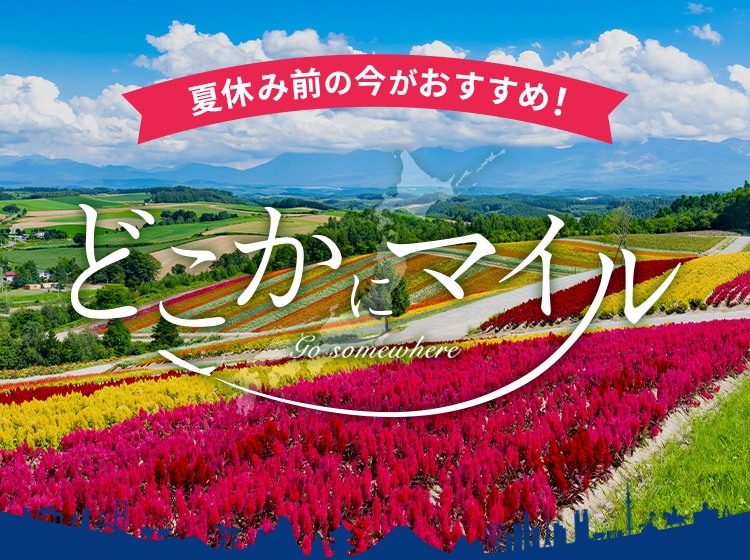 夏休み前の今がおすすめ！どこかにマイル