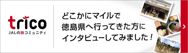 どこかにマイル Jalマイレージバンク