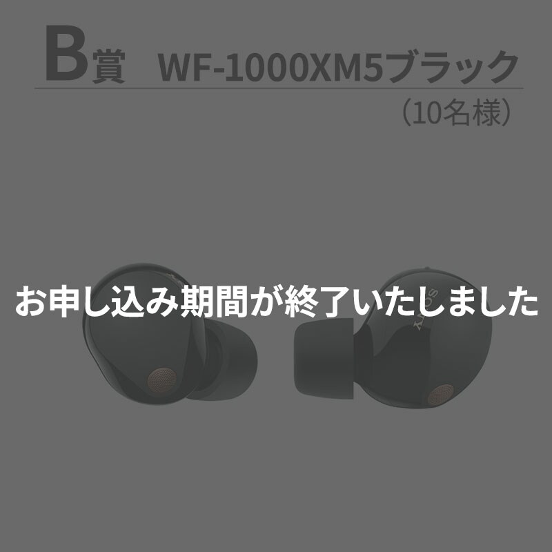 B賞 お申し込み期間が終了いたしました