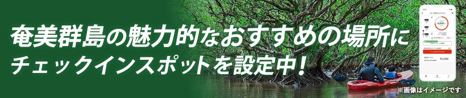 奄美群島の魅力的なおすすめの場所にチェックインスポットを設定中！歩いて、チェックインスポットを巡って、マイルをためよう。