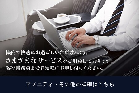 機内で快適にお過ごしいただけるよう、さまざまなサービスをご用意しております。客室乗務員までお気軽にお申し付けください。 アメニティ・その他の詳細はこちら