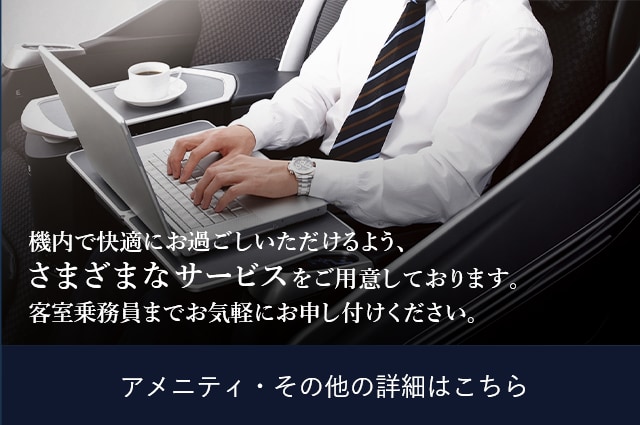 未使用・新品 JALビジネスクラス ダラス-成田 就航初号便 記念ダイヤリー帳 フライトレポ】JALのスッタガードシート!深夜のSKY SUITEⅡ搭乗