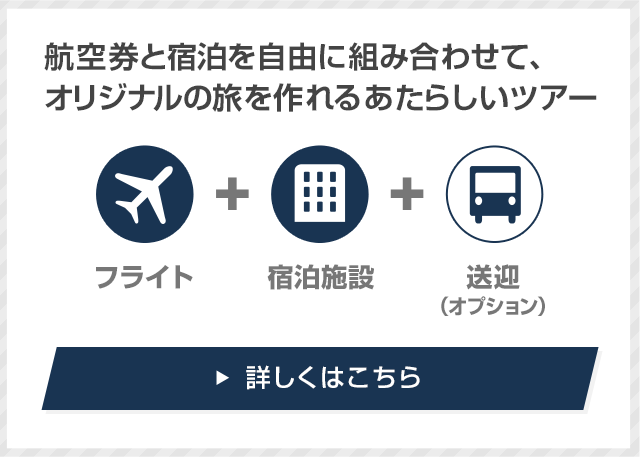 未使用・新品 JALビジネスクラス ダラス-成田 就航初号便 記念ダイヤリー帳 搭乗記】桃園 – 成田 JAL8664 B767 国際線ビジネスクラスSKY