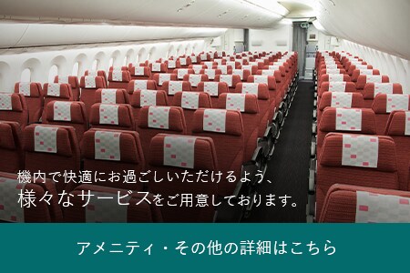 機内で快適にお過ごしいただけるよう、様々なサービスをご用意しております。 アメニティ・その他の詳細はこちら