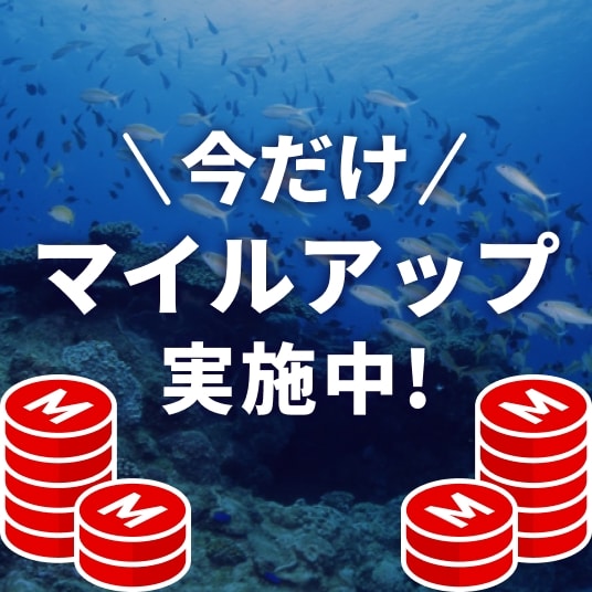 今だけマイルアップ実施中！